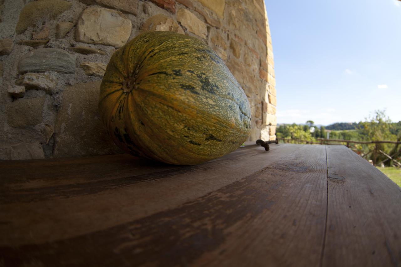 Agriturismo San Fedele Perugia Kültér fotó